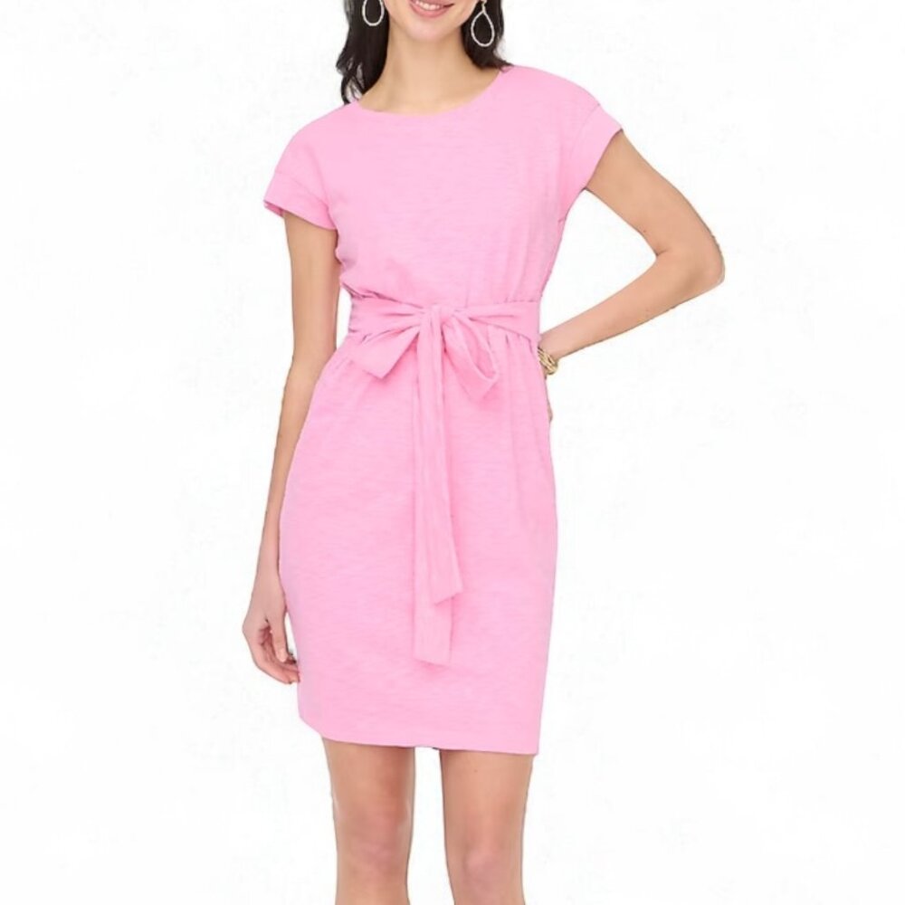 J. Crew Factory Pink Tie-Waist Mini Dress